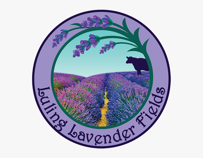 Luling Tx Lavendar Fields, HD Png Download, Free Download