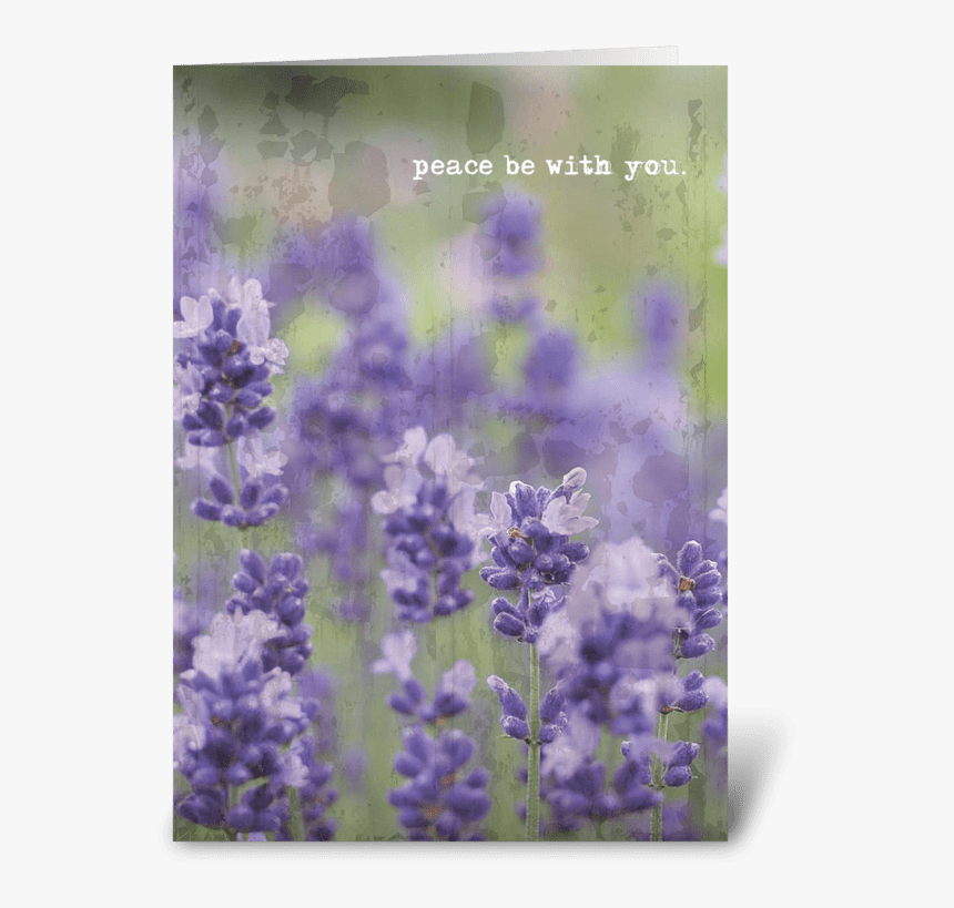 Peace Be With You - Bluebonnet, HD Png Download, Free Download