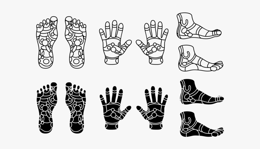 Set Of Reflexology Icon Vector - Shoe Organizer, HD Png Download, Free Download