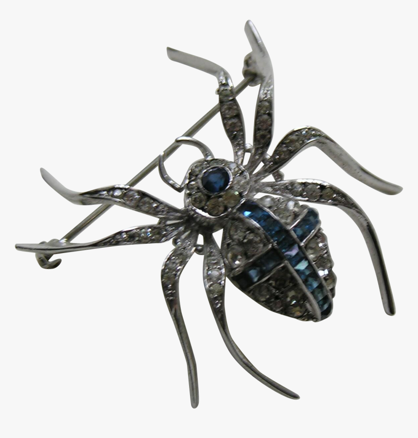 Araneus, HD Png Download, Free Download