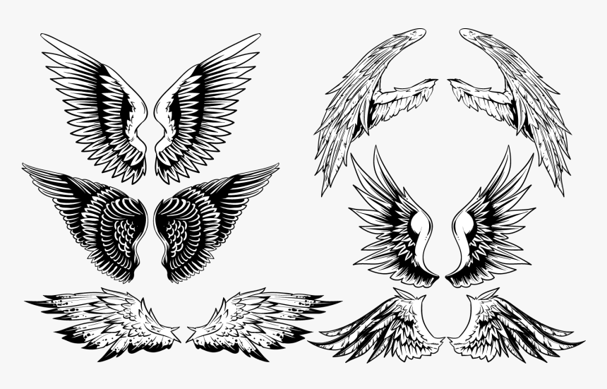 Vintage Wings Vector Set - Wing Vector Free Download, HD Png Download, Free Download