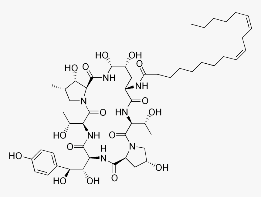 Echinocandin B, HD Png Download, Free Download