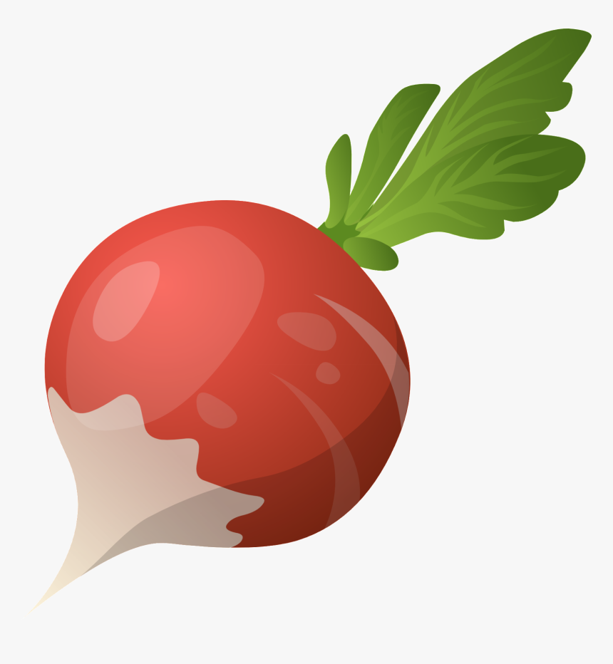 Beet Png - Radish Png Cartoon, Transparent Png, Free Download