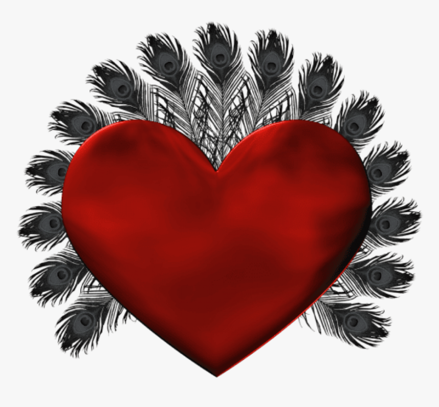 Free Png Red Heart With Black Feathers Png - Flower Monogram Frames, Transparent Png, Free Download