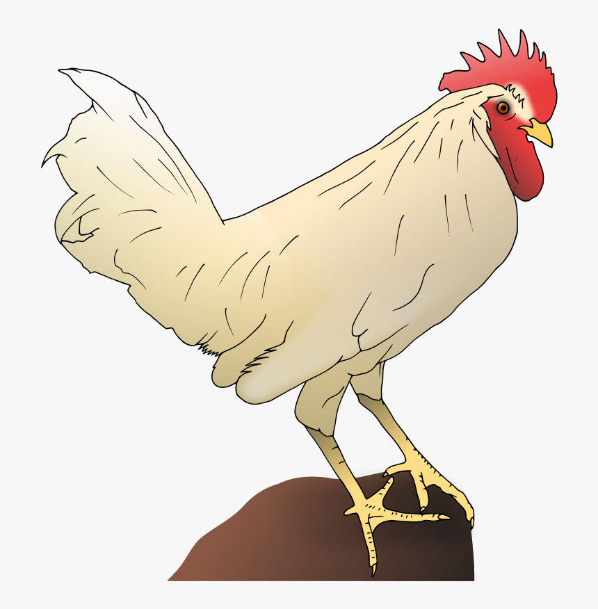 Chicken Leg Clip Art Download - كليب ارت ريش دجاج, HD Png Download, Free Download