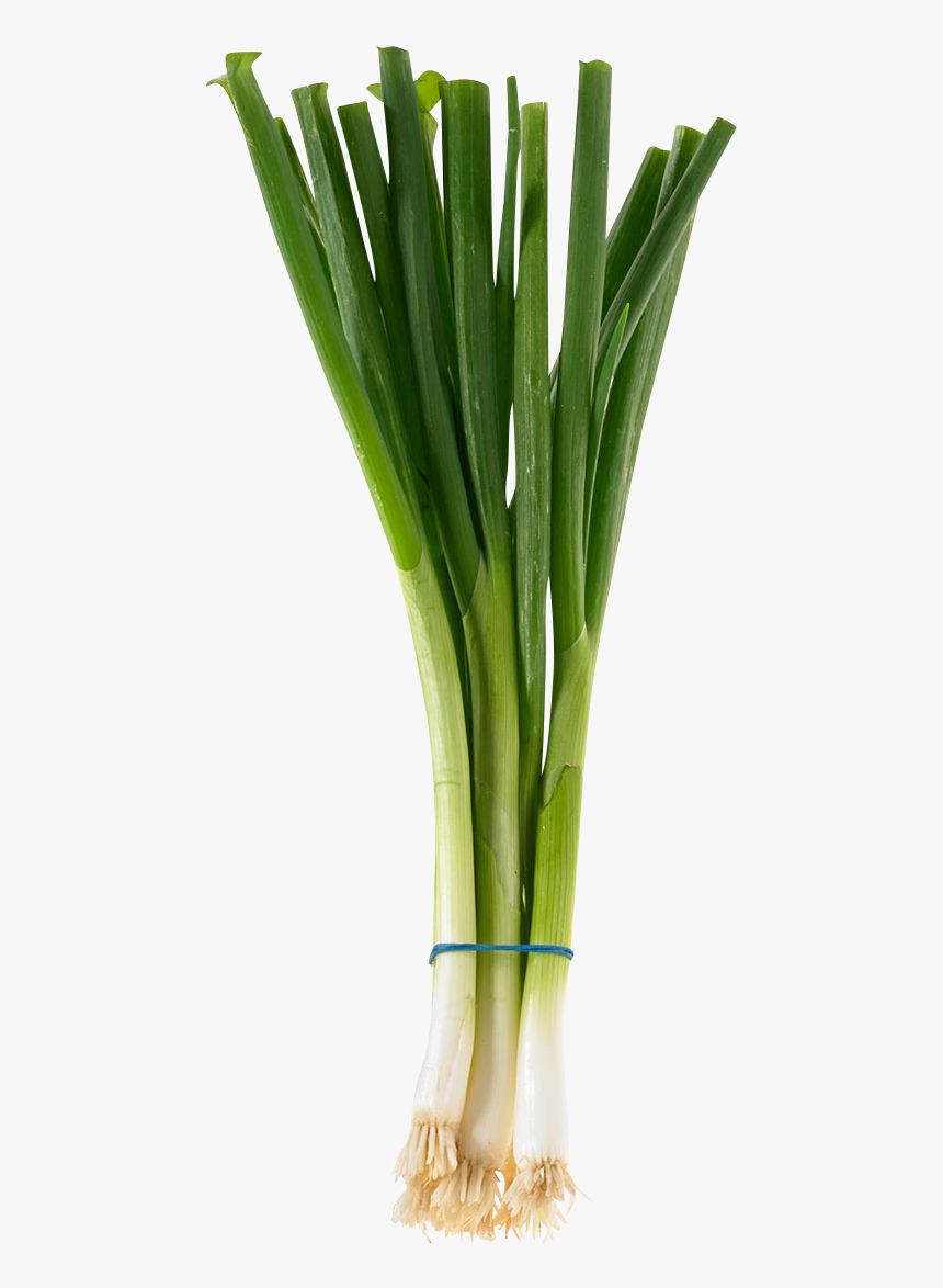 Green Onions, HD Png Download, Free Download