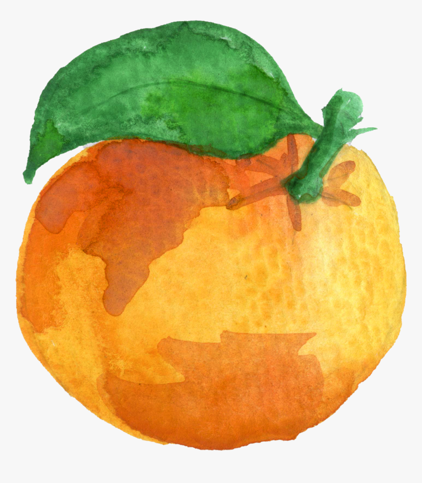 Watercolor-Orange - Oranges Watercolor Clipart, Hd Png Download - Kindpng