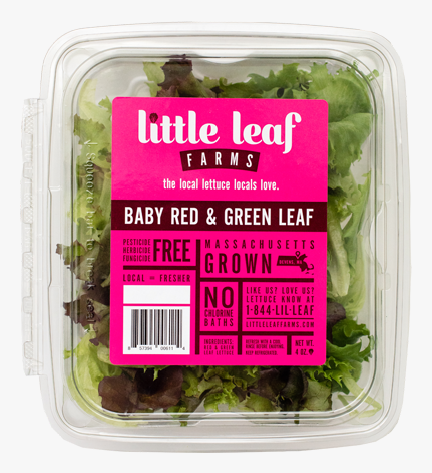 Baby Red Leaf Lettuce, HD Png Download, Free Download