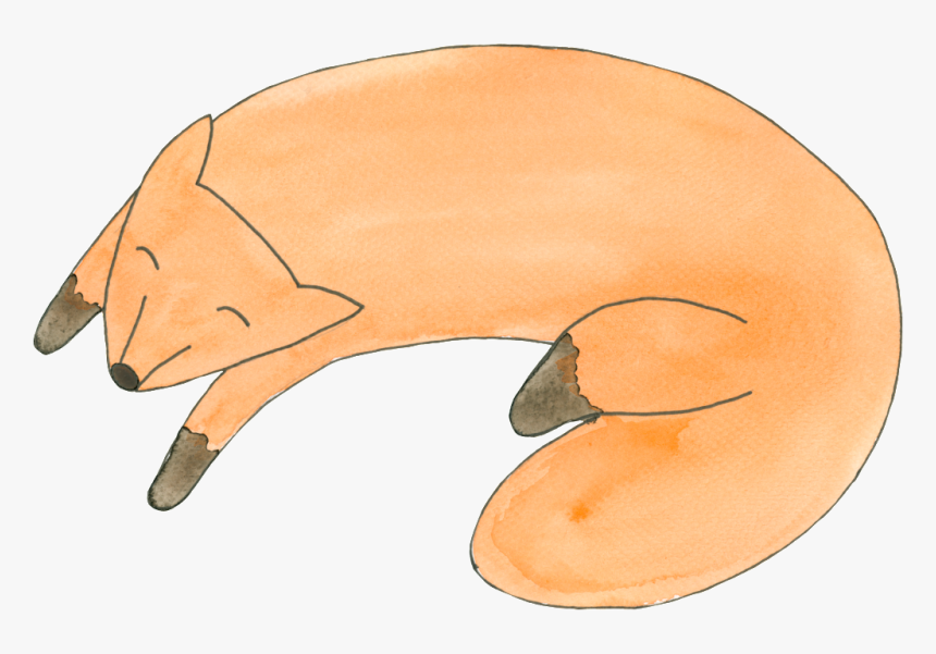 Sleepy Cute Fox Cartoon Transparent - Tapir, HD Png Download, Free Download