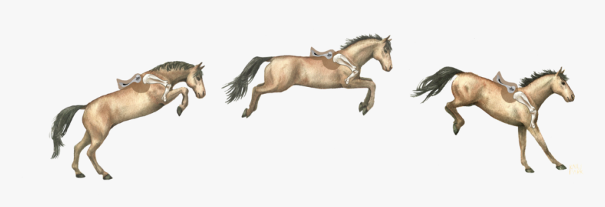 Stridefree Saddle - Stallion, HD Png Download, Free Download