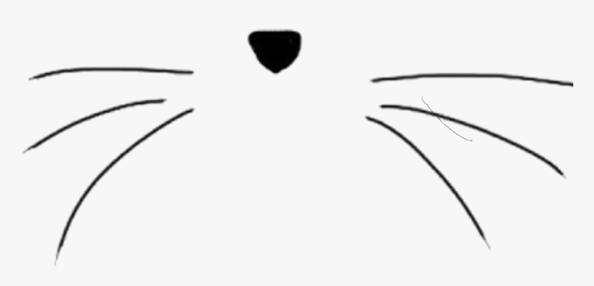 #interesting #art #cat #png #pngs #pngtumblr #stickersedit - Cat Nose With Whiskers, Transparent Png, Free Download