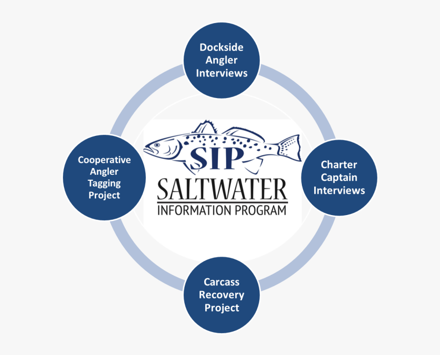 Graphic Depicting The Four Components Of The Saltwater - Somali Pirates, HD Png Download, Free Download