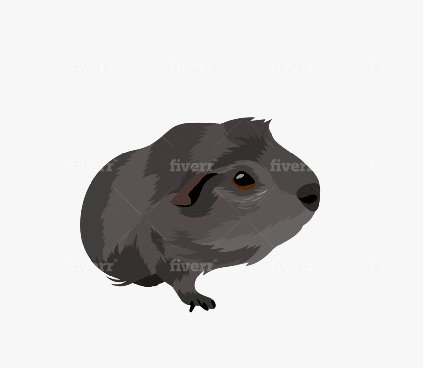 Marsh Rice Rat, HD Png Download, Free Download