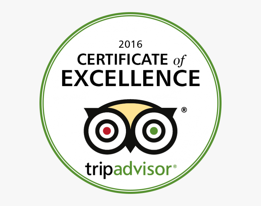 Tripadvisor Certificate Of Excellence Logo On Transparent, HD Png Download, Free Download