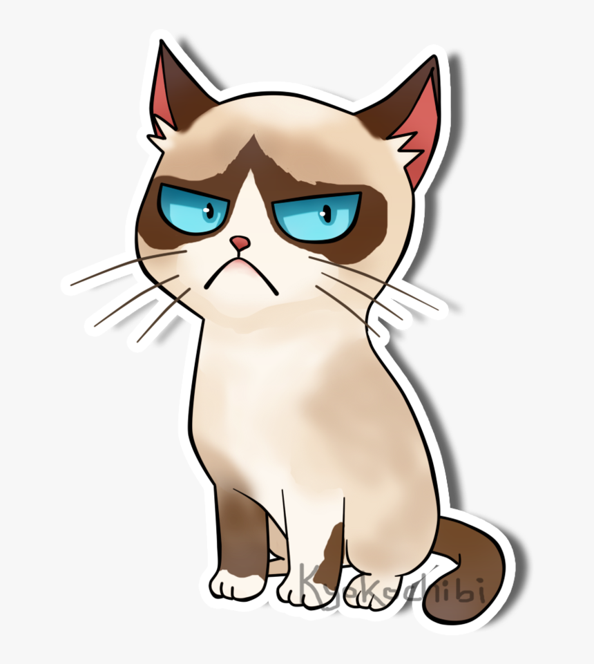 Grumpy Cat , Png Download - Domestic Short-haired Cat, Transparent Png, Free Download