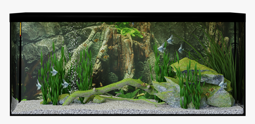 Aquarium, HD Png Download, Free Download