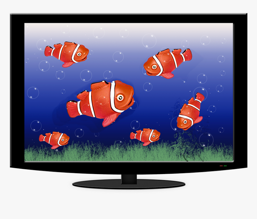 Aquarium, Tv, Fish, Water, Fish Swarm, Underwater World - Led-backlit Lcd Display, HD Png Download, Free Download