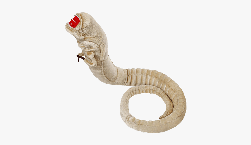 Chestburster Plush, HD Png Download, Free Download