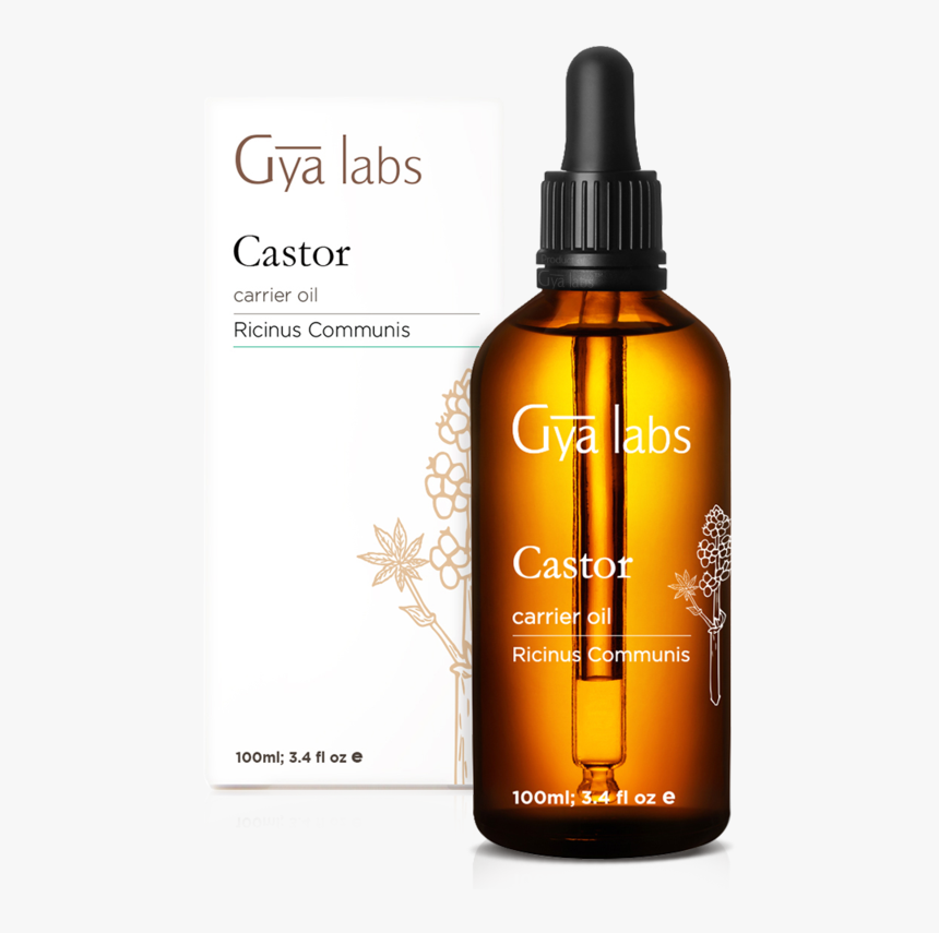 Castor - Gya Labs Product, HD Png Download, Free Download