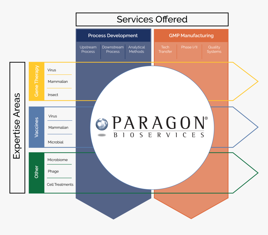 Paragon Bioservices, HD Png Download, Free Download