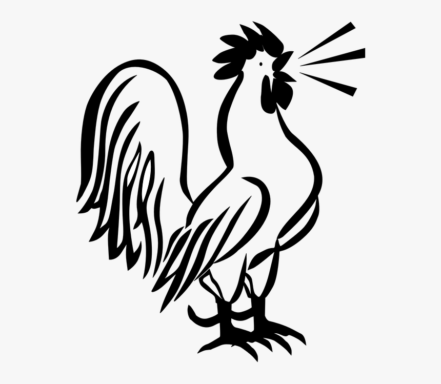 Clip Art Black And White Rooster, HD Png Download, Free Download