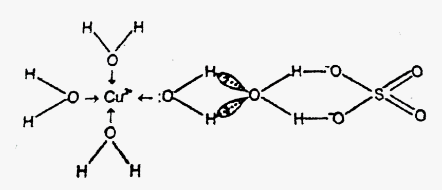 Diagram, HD Png Download, Free Download