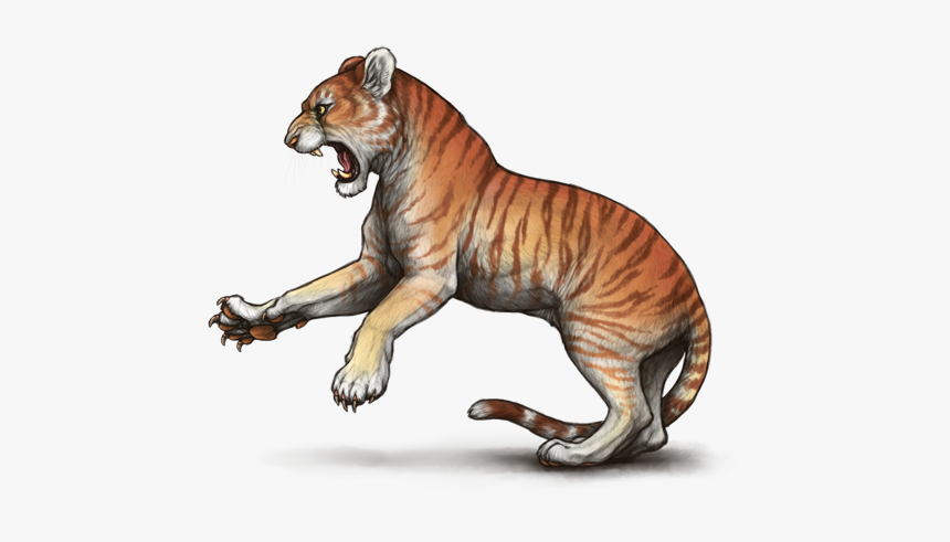 92cnir7 - Siberian Tiger, HD Png Download, Free Download