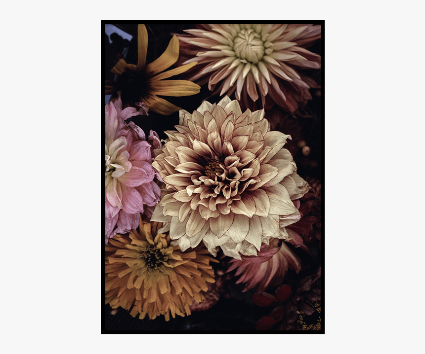 Autumn Flowers Poster - Plakat Opulent 5, HD Png Download, Free Download