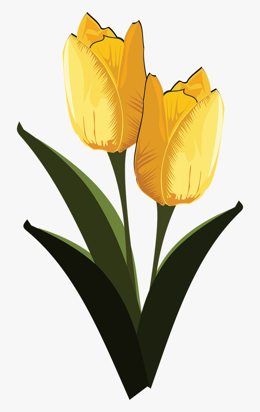 Clip Art Flor Flora Flower Png Image - Kvetina Art, Transparent Png, Free Download