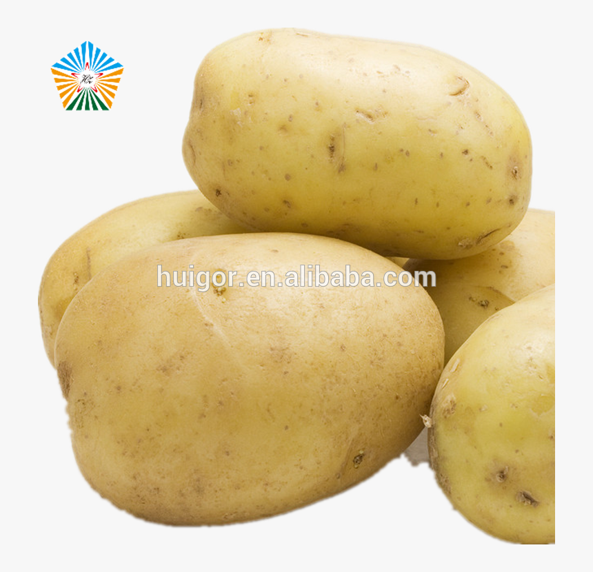 Good Quality Smooth New Fresh Potato With Yellow Inside - Russet Burbank Potato, HD Png Download, Free Download