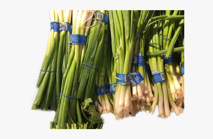 Welsh Onion, HD Png Download, Free Download