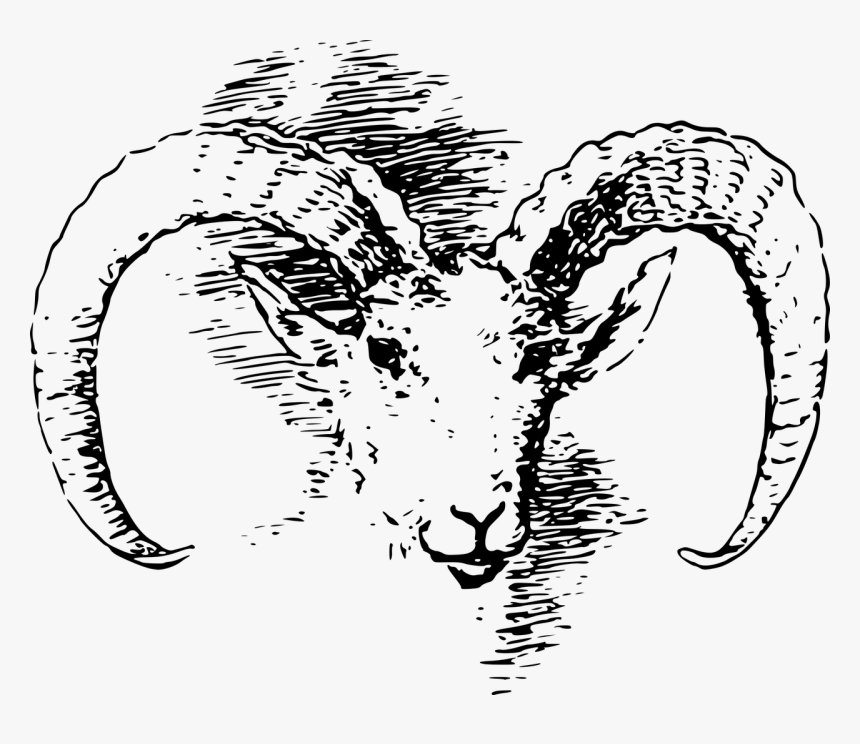 Ram Vintage Print, HD Png Download, Free Download