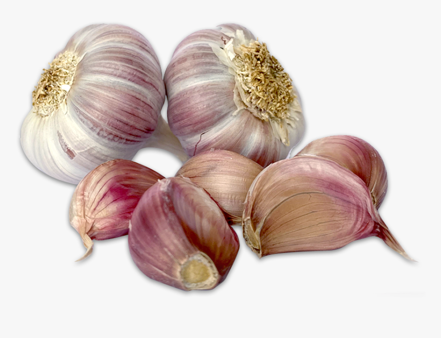 Garlic, HD Png Download, Free Download