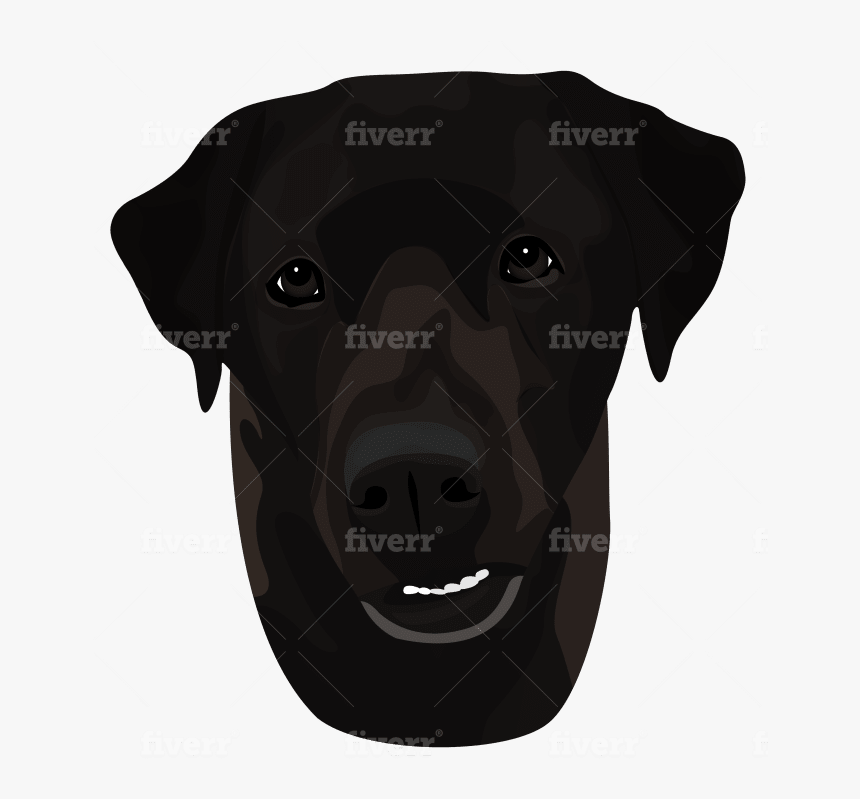 Labrador Retriever, HD Png Download, Free Download