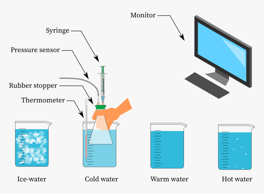 Experimental Diagram To Prove Charles"s Law - Cartoon Computer Transparent Background, HD Png Download, Free Download