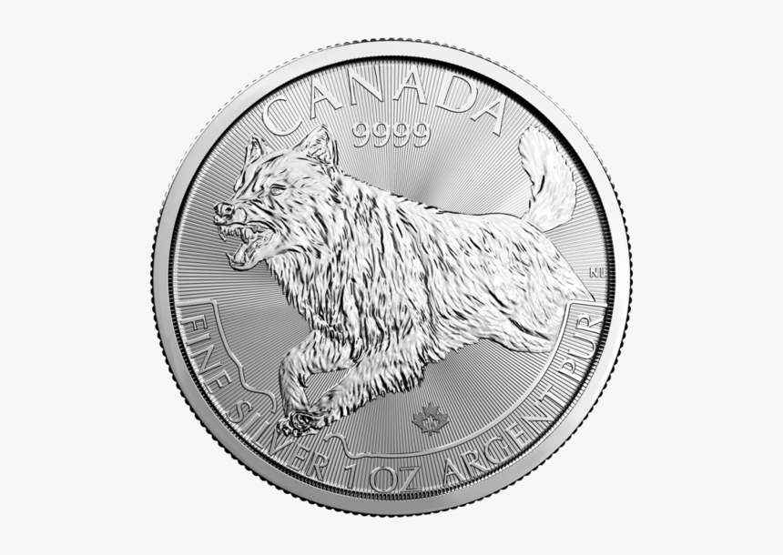 Collection Of Free Coin Drawing Old - 2018 Predator Silver Coin, HD Png Download, Free Download