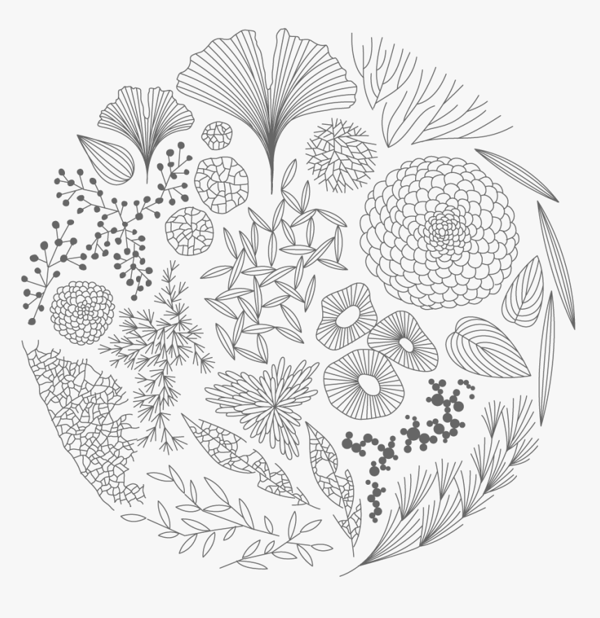 Vector Black And White Stock Moorigin Artistry Pinterest - Line Art, HD Png Download, Free Download