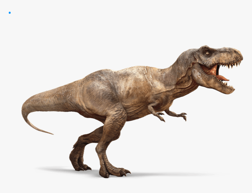 Tiranosaurio Rex En Ingles, HD Png Download, Free Download