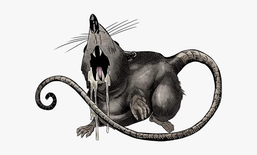 Unit Rat - Cat Yawns, HD Png Download, Free Download