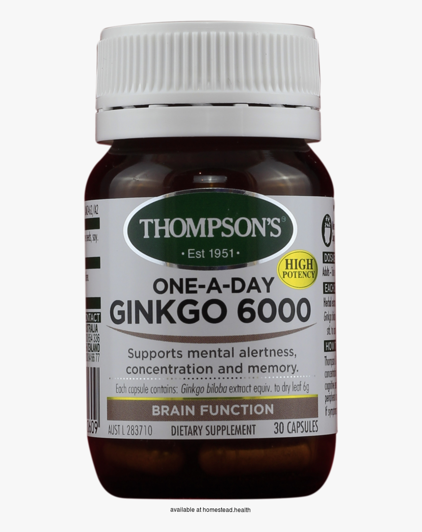 Ginkgo Png, Transparent Png, Free Download