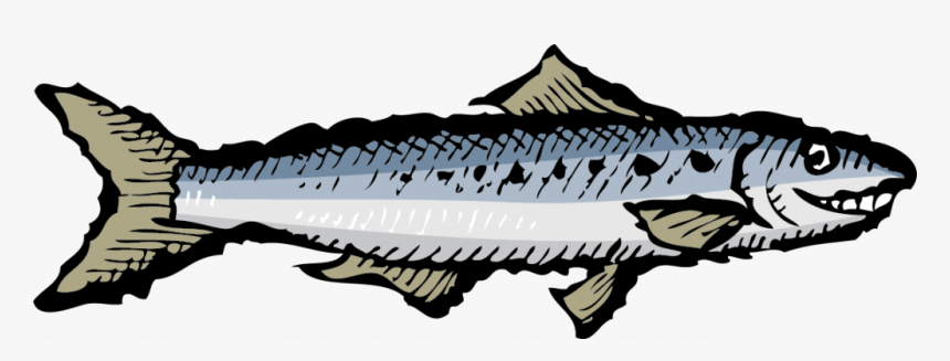 Sardines Clipart Png, Transparent Png, Free Download