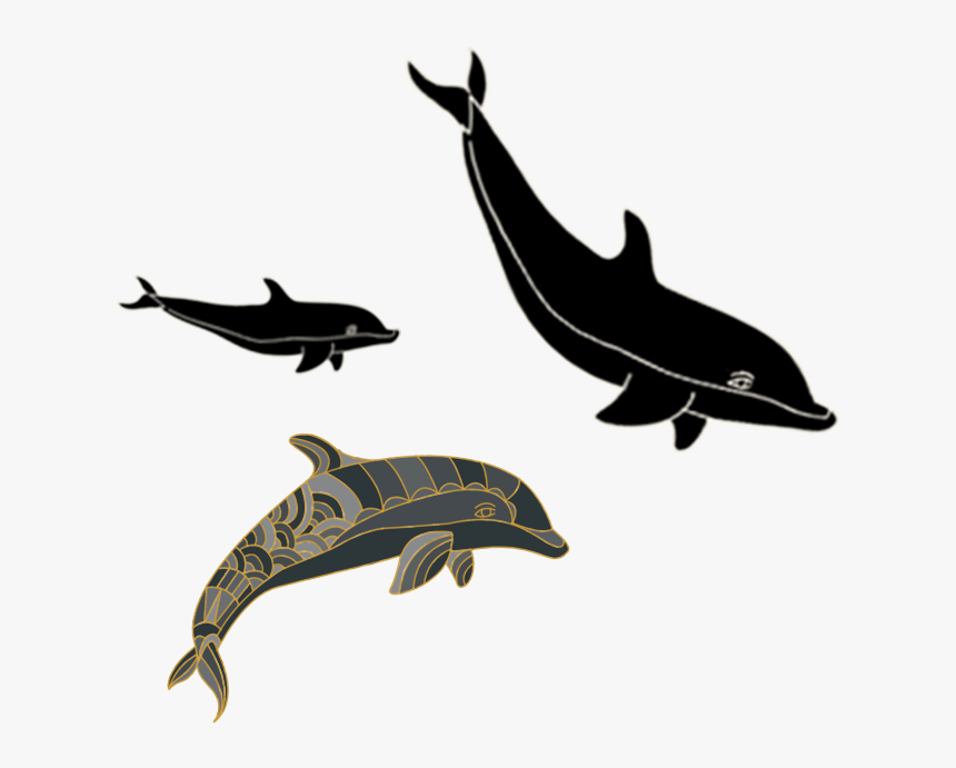 Wholphin, HD Png Download, Free Download