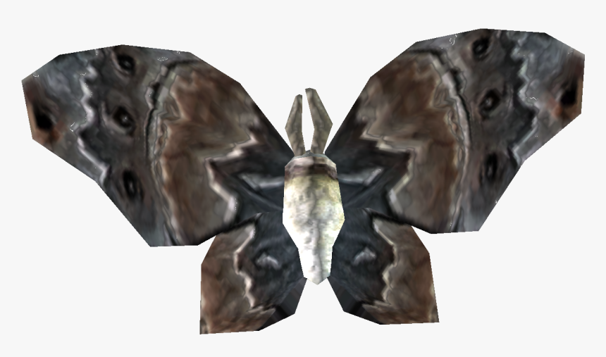 Elder Scrolls - Skyrim Ancestor Moth, HD Png Download, Free Download