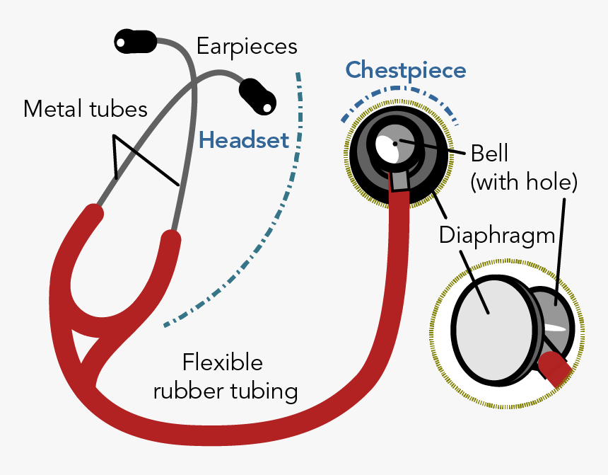 Labelled Diagram Of A Modern Stethoscope Showing The - Stethoscope ...