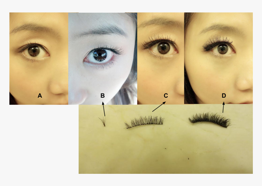 Transparent Eyelashes Png - Eye Liner, Png Download, Free Download