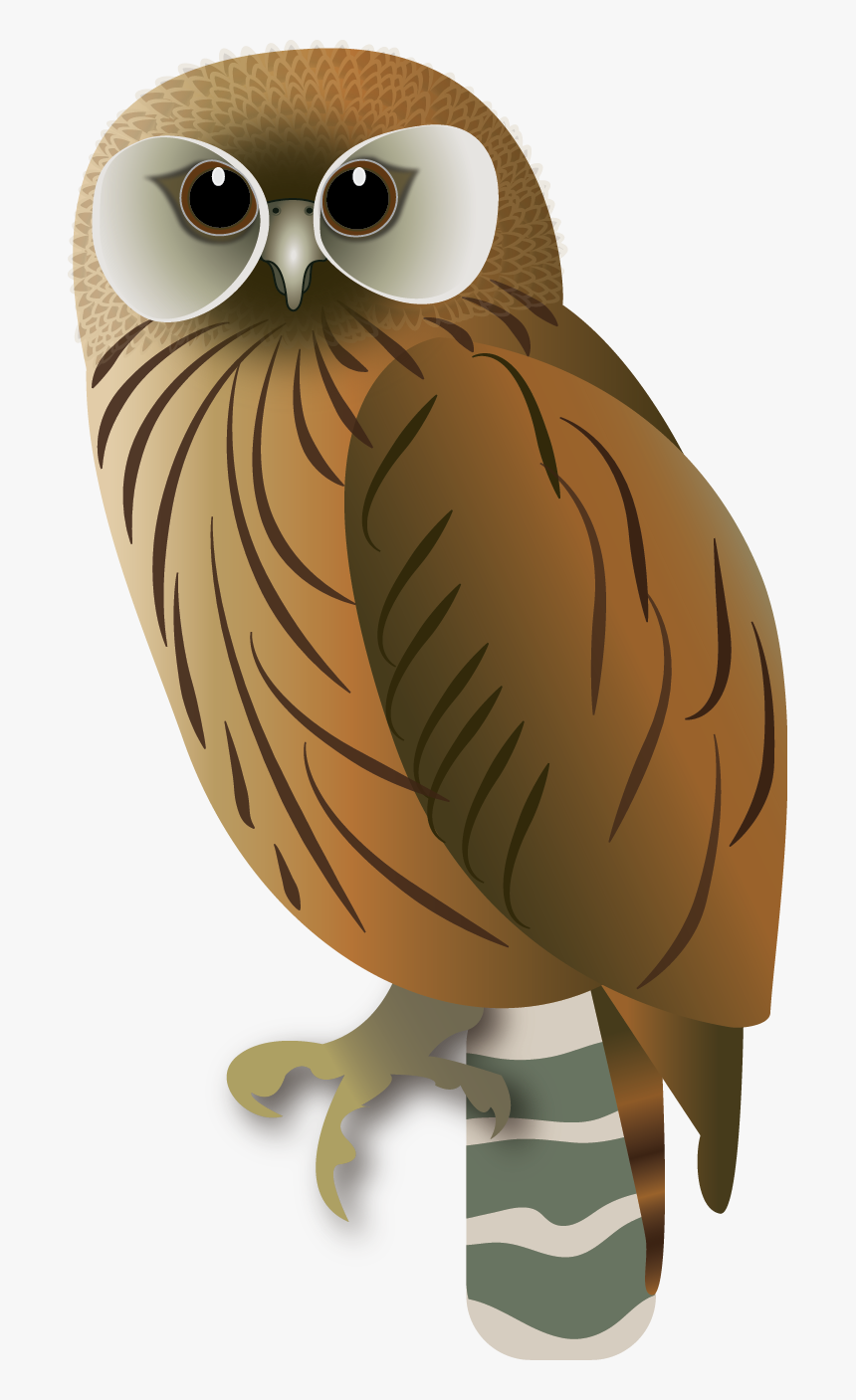 Laughing Owl, HD Png Download, Free Download