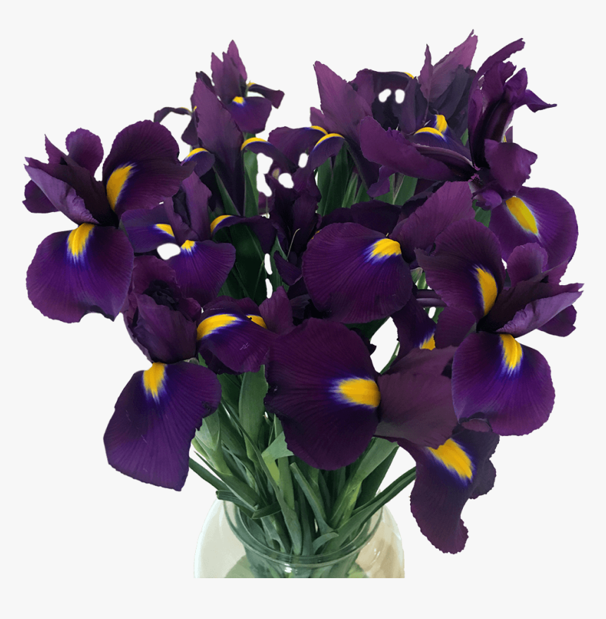 Iris, HD Png Download, Free Download