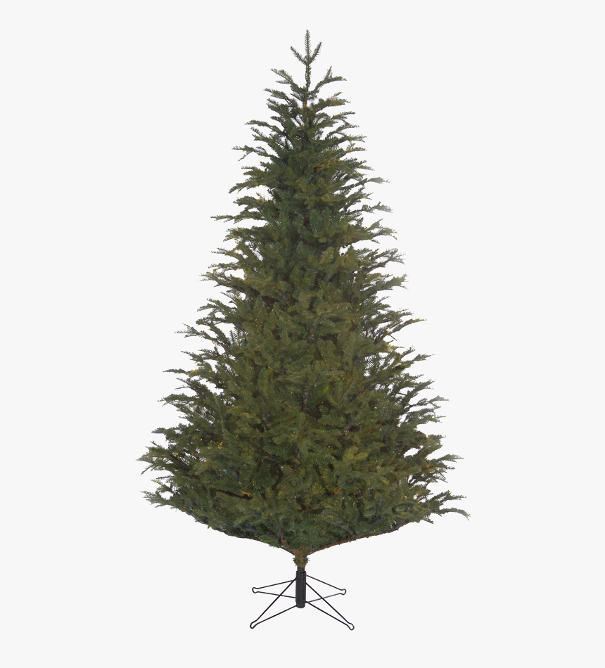 Frasier Fir Green,, HD Png Download, Free Download