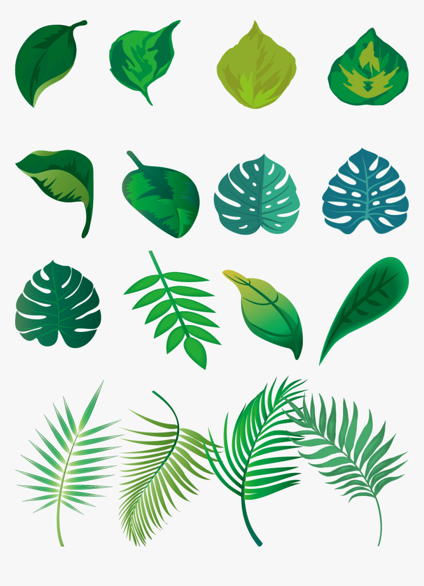 Hand Painted Fresh Green Leaves Png And Vector Image - ชุด ตกแต่ง ใบไม้ สี เขียว, Transparent Png, Free Download