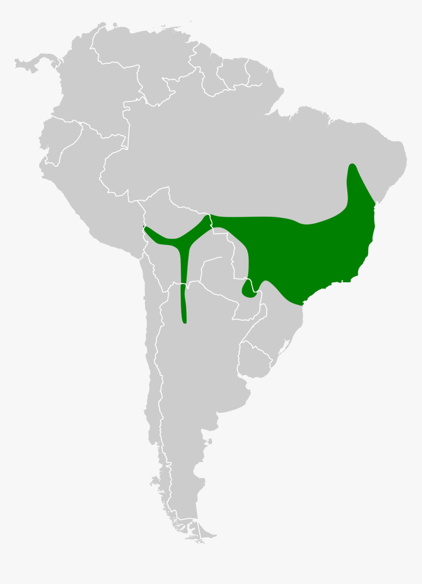 Map Of South America Png, Transparent Png, Free Download